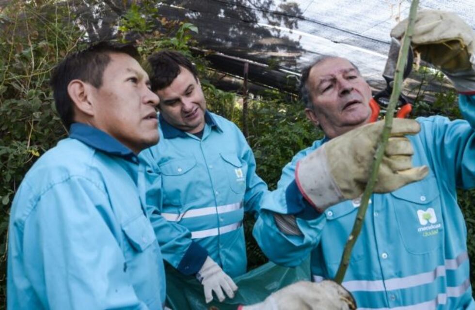 La comuna de Capital capacitará en jardinería a personas con discapacidad