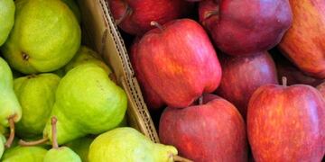 Exportación de peras y manzanas\u002E