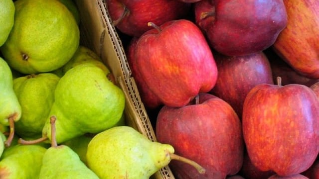 Exportación de peras y manzanas\u002E
