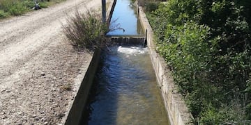 Reactivaron dos consorcios de riego agrícola en Alvear. Imagen ilustrativa.