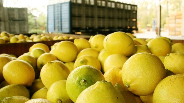 HANDOUT - ARCHIVO - Cajones de limones tras ser recogidos en algu00fan lugar no determinado de Argentina el 14/05/2007. (Vinculado al texto de dpa