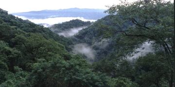 Parque Nacional Calilegua
