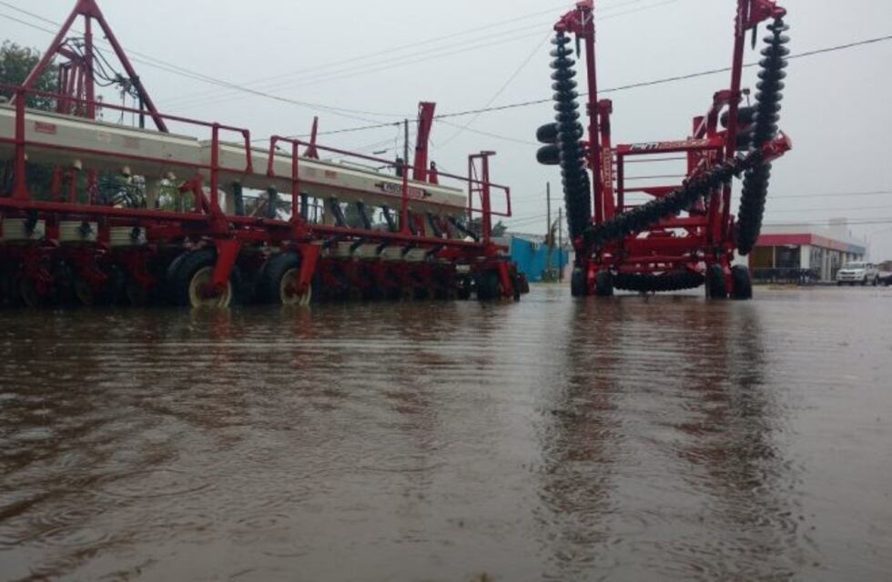 Peppo afirmó que las pérdidas por las inundaciones "son muy significativas"