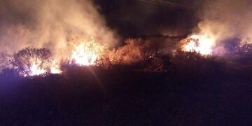 Continúan los incendios forestales en San Luis