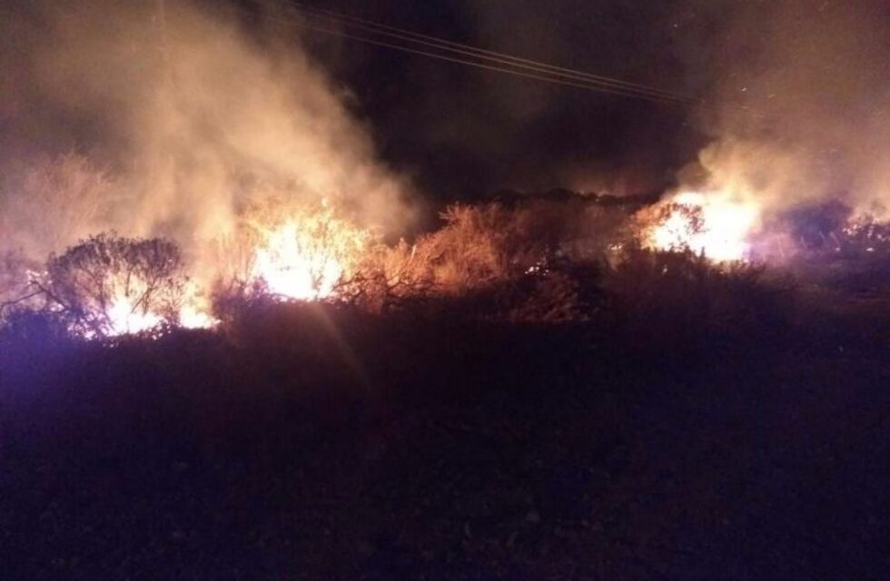 Continúan los incendios forestales en San Luis