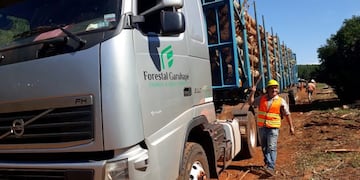 Habilitaron la circulación de bitrenes en Corrientes