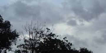 Parcial nublado