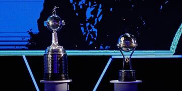 Cuál torneo o copa llama más la atención de los argentinos. (Foto: EFE/Nathalia Aguilar