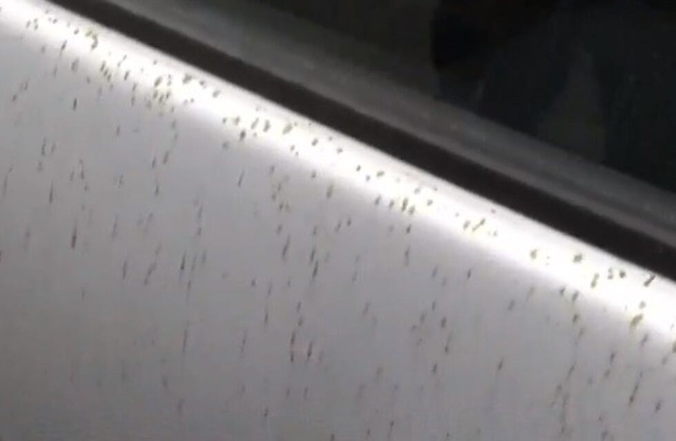 Curiosa "lluvia de aceite" en Villa Gobernador Gálvez