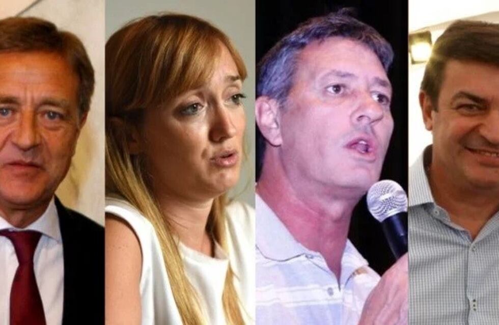 Ingresá y seguí voto a voto las PASO en Mendoza