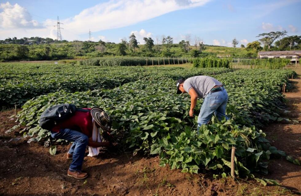 Campesinos marchan en Mendoza por políticas de emergencia para el sector