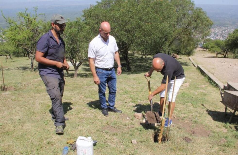 Reforestación: se plantaron 30 árboles nativos en el Cerro de la Cruz