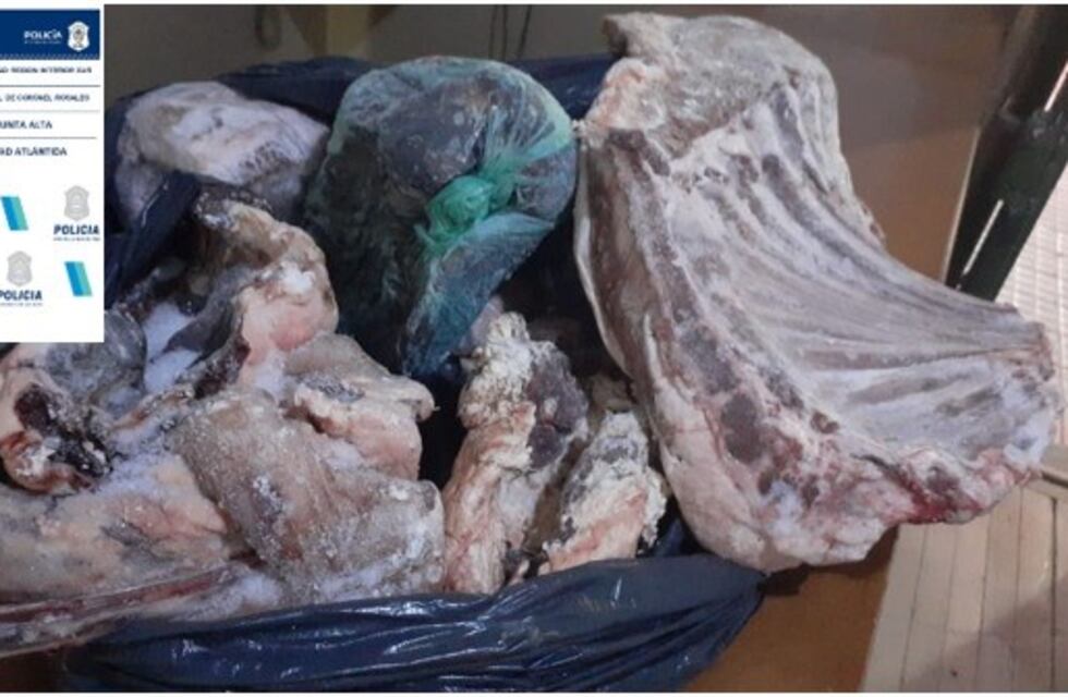 Punta Alta: robaron en una vivienda y fueron detenidos