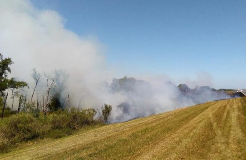 El fuego volvió a la zona de islas y el humo se detectó otra vez en Rosario
