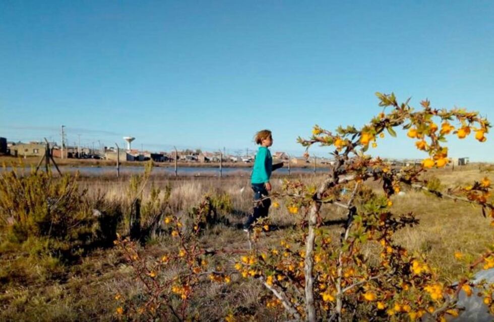 Organizan caminata saludable para conmemorar Día Internacional de los Humedales