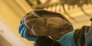 Huevo gigante de cáscara blanda de hace aproximadamente 66 millones de años\u002E Fotos: Revista Nature\u002E