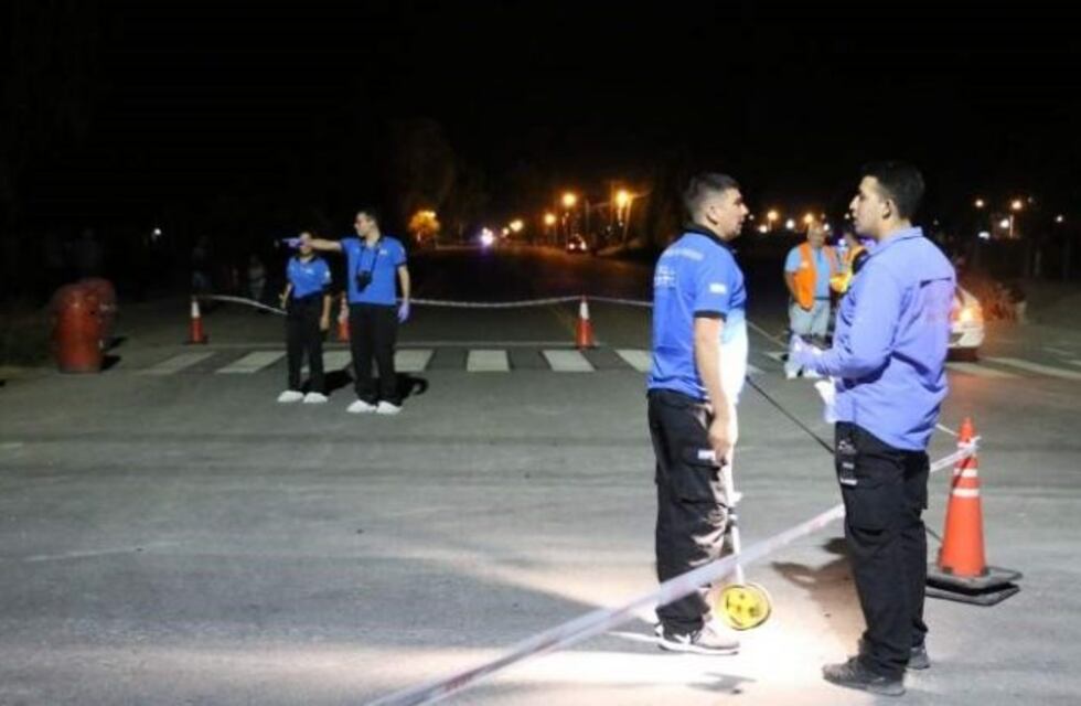 Atropelló a dos nenas, las mató, huyó y luego se entregó en la comisaría