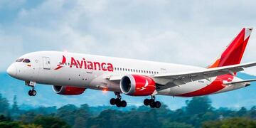 El hecho ocurrió en un vuelo Punta Cana- Buenos Aires con conexión en Lima\u002E