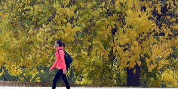 Cómo estará el clima en Buenos Aires este fin de semana y los últimos días de agosto (Archivo: Orlando Pelichotti / Los Andes)