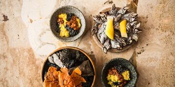 Platos de Central\u002E