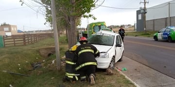 Un taxista conducía borracho y chocó contra un árbol