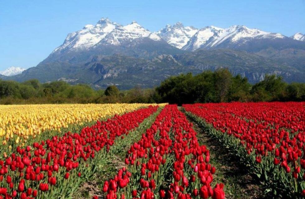 Trevelin, nominada a ser una de las 7 maravillas naturales de argentinas