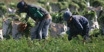 Preocupa el trabajo infantil en Mendoza\u002E