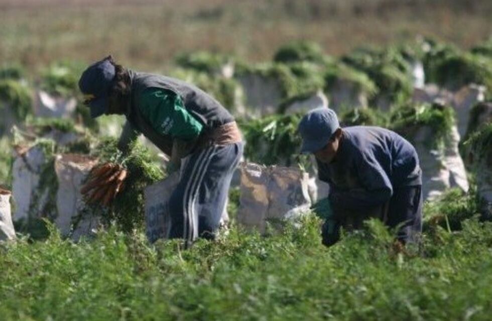 Oficial: el 10% de los niños argentinos trabaja