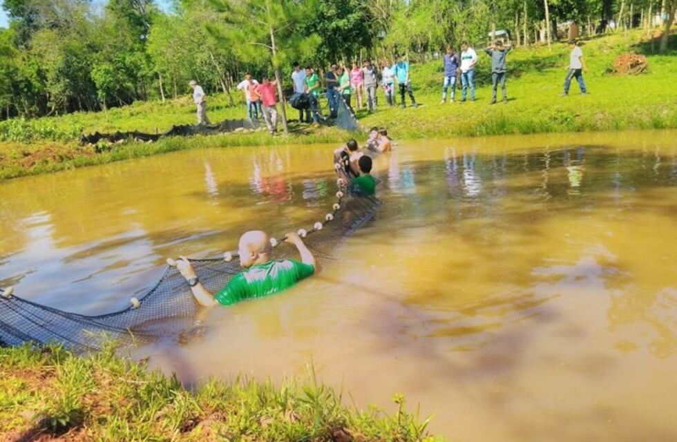 Robaron 260 peces de un estanque escolar en San Javier