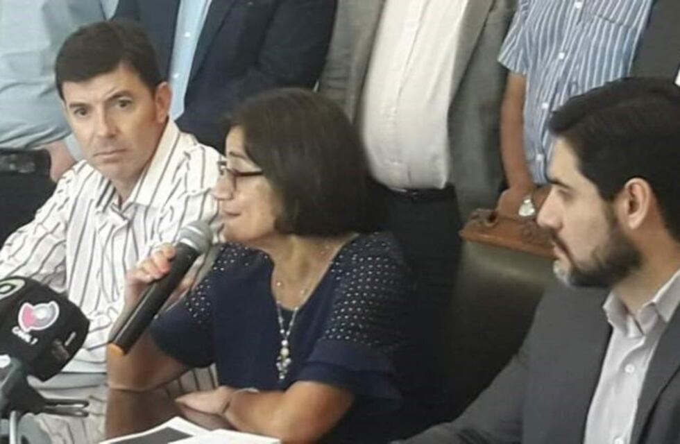 Corpacci anunció una serie de subsidios y medidas para bajar el costo de la tarifa de la energía eléctrica