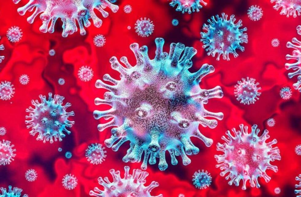 Mendoza confirmó 661 casos de coronavirus y 38 muertes