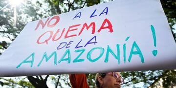 Protestas en todo el mundo contra Jair Bolsonaro por los incendios en el Amazonas\u002E (AFP)