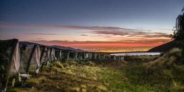 Viu00f1edos en El Challao