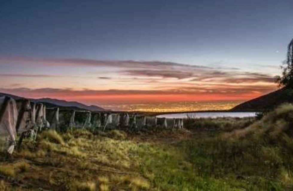 Cultivan viñedos en piedras que tienen 450 millones de años