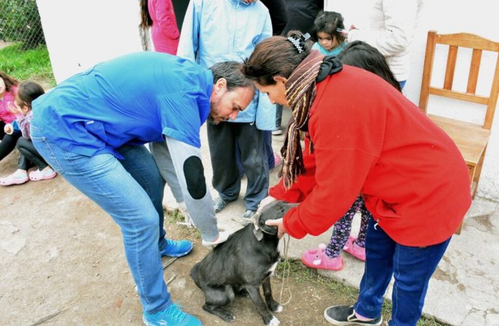 Tras el hallazgo de murciélagos enfermos, sigue la vacunación antirrábica