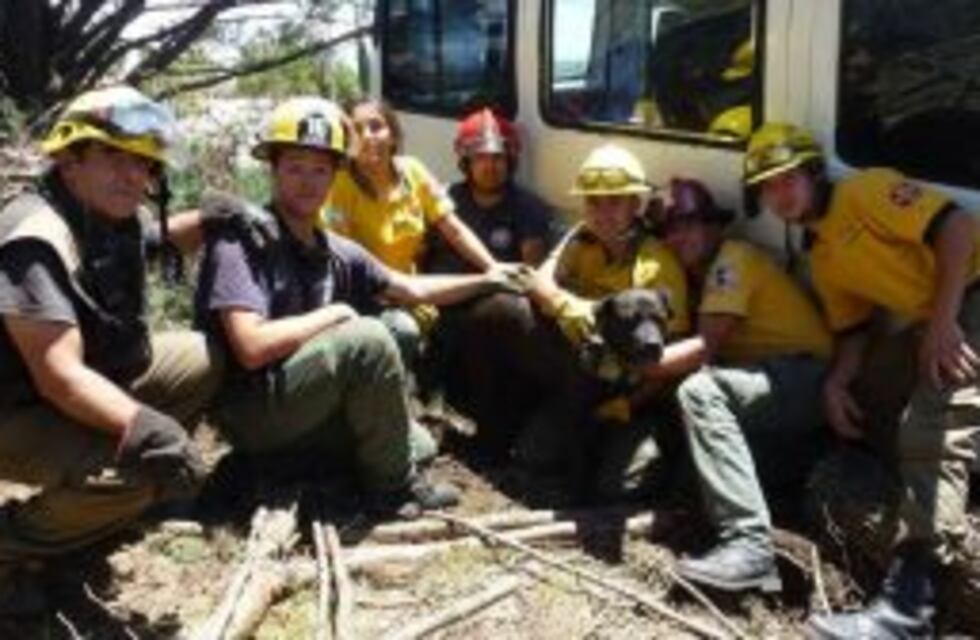 Rescataron a un perro que quedó atrapado tras la tormenta en Punilla