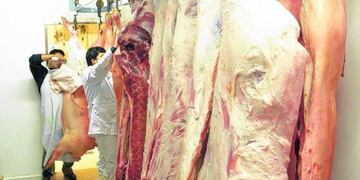 Carne de cerdo en Río Negro\u002E