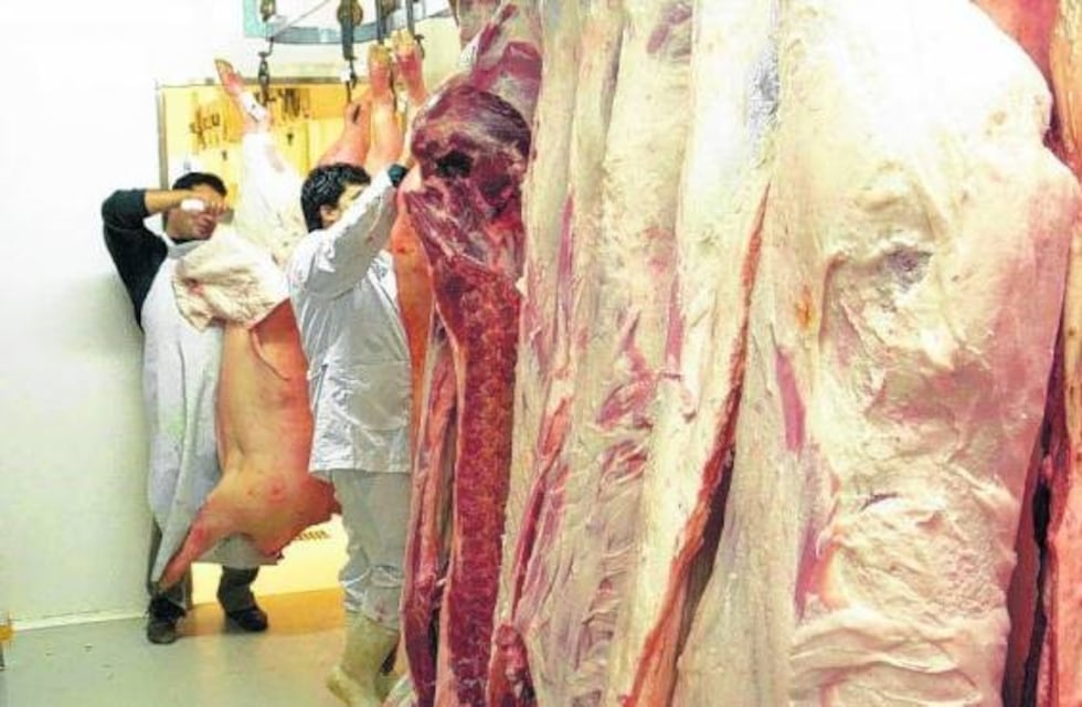 Paran la comercialización de carne de cerdo importada en Río Negro
