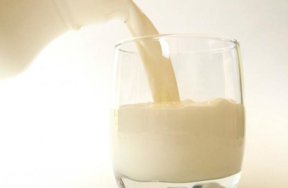 Salió al mercado la primera leche de cabra en envases larga vida