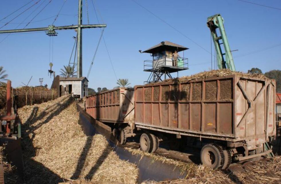 Zafra 2024: los ingenios de tucumanos rompieron récords de productividad