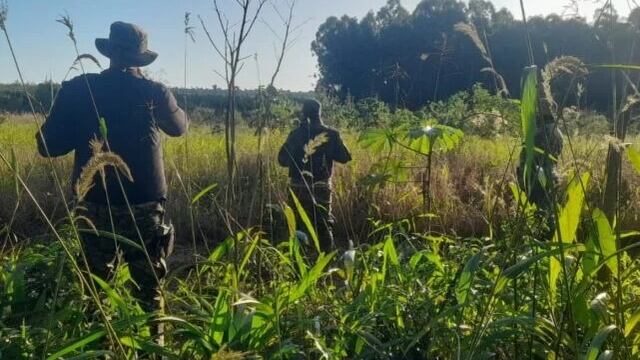 Secuestraron tres motos de presuntos cazadores furtivos en Puerto Esperanza.