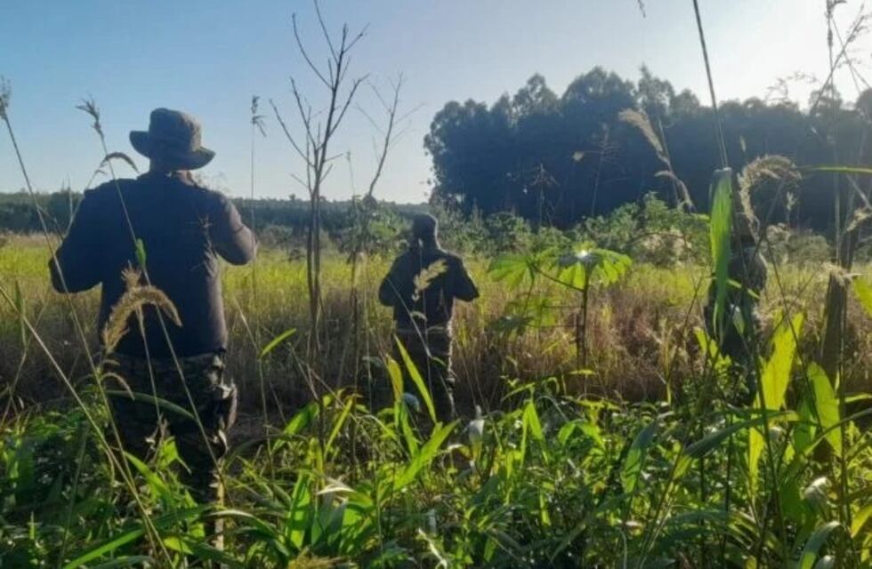 Secuestraron tres motos de presuntos cazadores furtivos en Puerto Esperanza