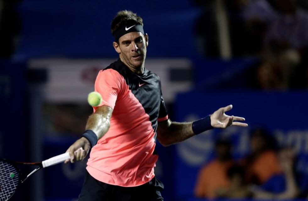 Del Potro venció a Alexander Zverev y se clasificó a la final del ATP de Acapulco