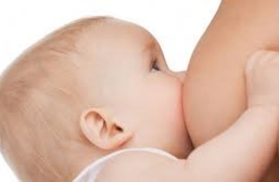 Semana de la Lactancia Materna: alimentación sana, segura y soberana como un derecho