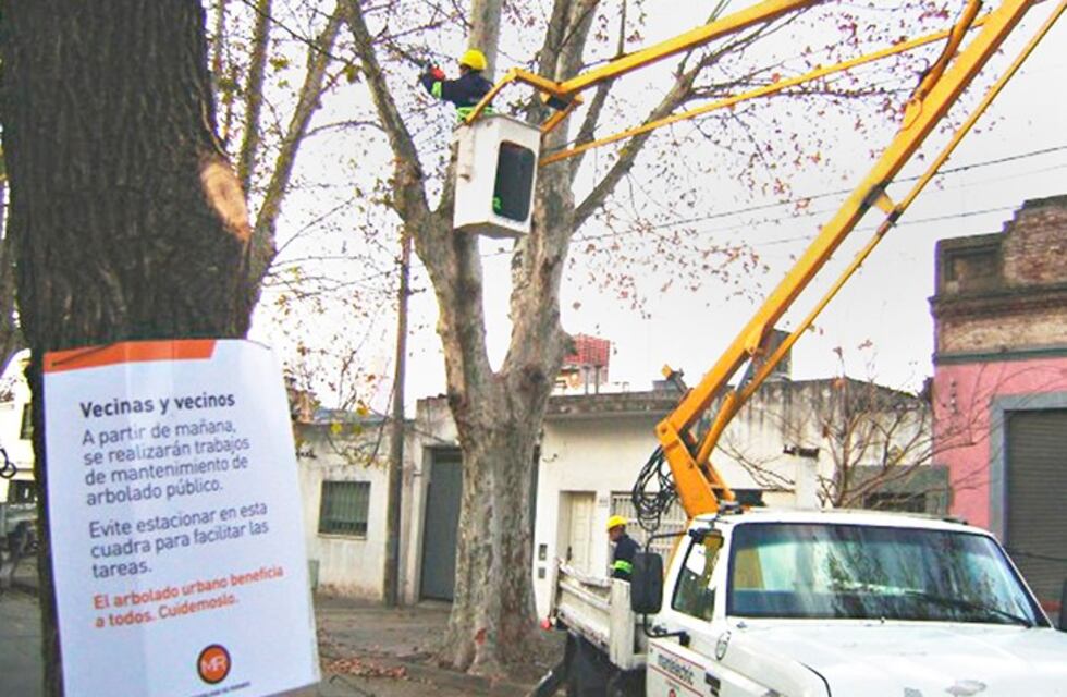 Le dijeron que no podían empujar un auto averiado, pero el conductor los hirió con una llave inglesa