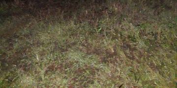 El cuerpo fue encontrado pasadas las 18 en San Javier\u002E