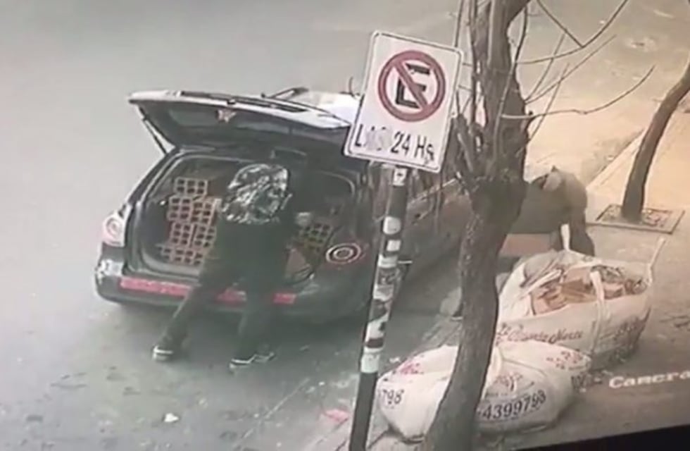 ¡Regresó arrepentido! Se vio en pantalla robando ladrillos, pidió disculpas y los devolvió