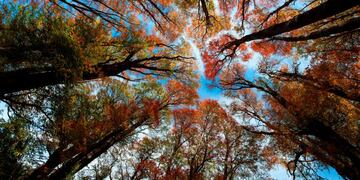 Verano en el reino de la nieve