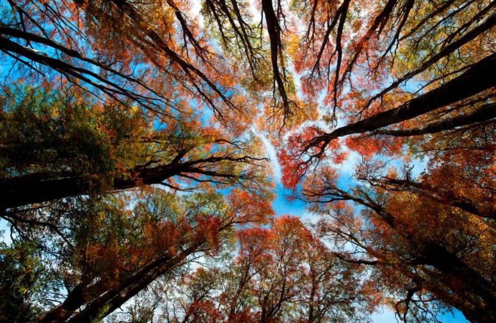 Bariloche: verano en el reino de la nieve