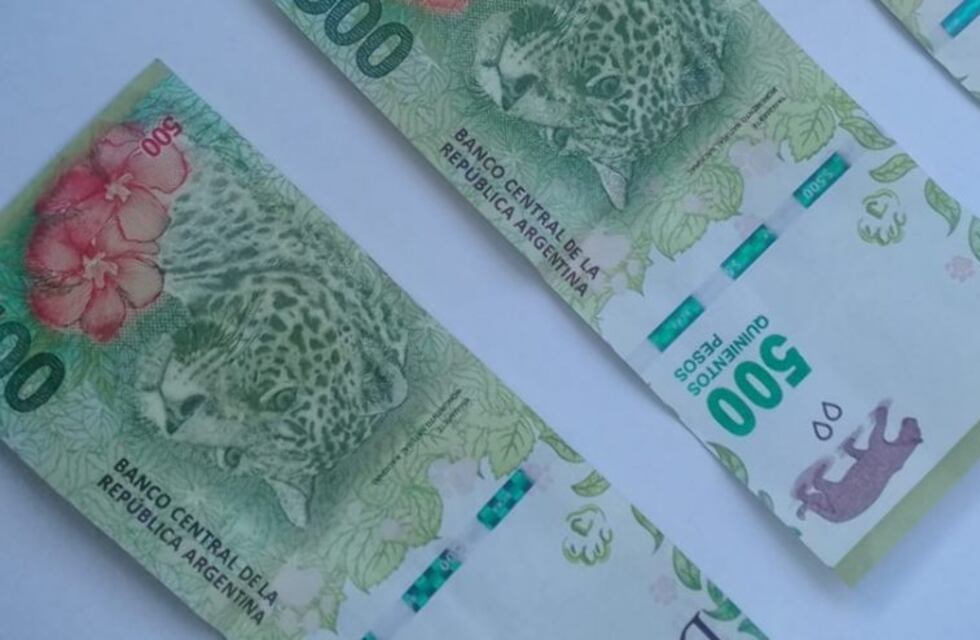 Le robaron la billetera del changuito del supermercado